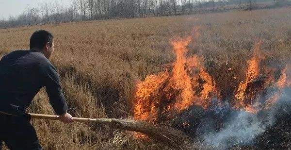 生物質(zhì)顆粒機械