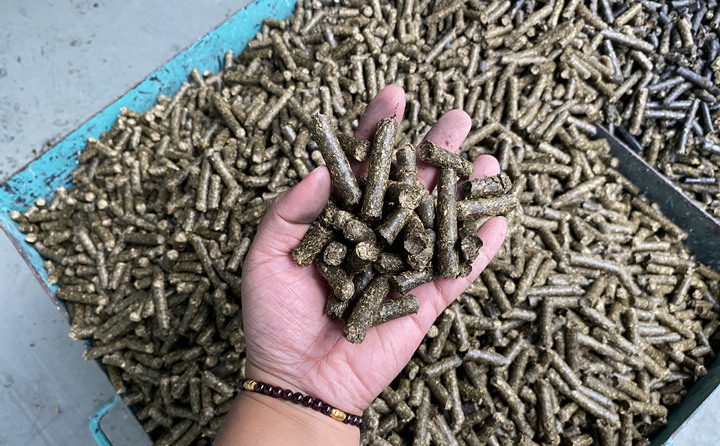 生物質(zhì)能源是天然的綠色燃料，燃燒后從原料再生到能源轉(zhuǎn)化，可全周期趨于碳的零排放。因此實現(xiàn)碳中和目標，生物質(zhì)能大有可為